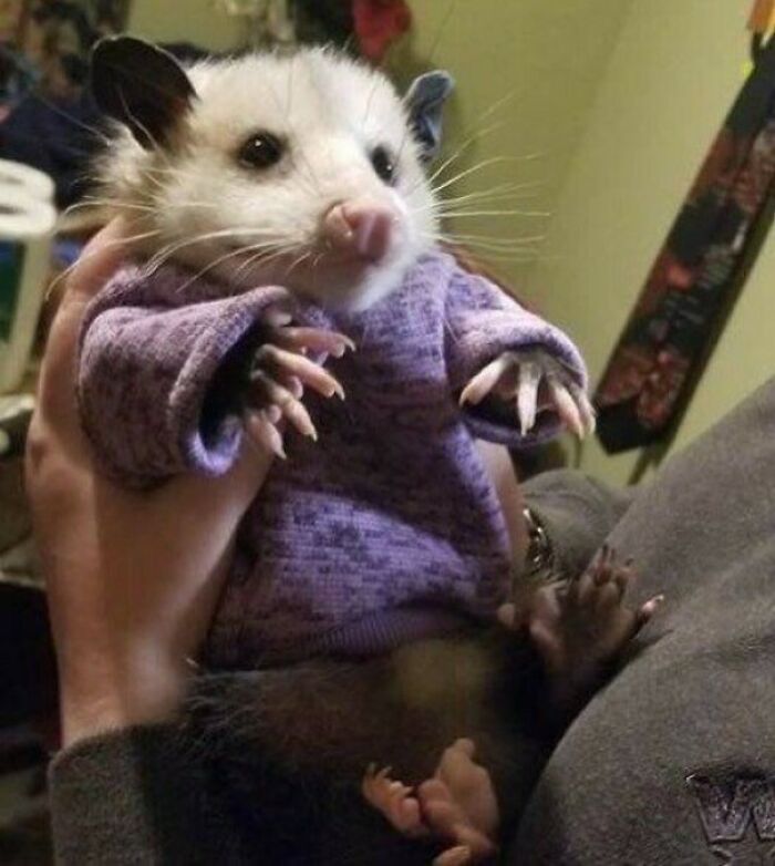 I'll Never Be This Cute