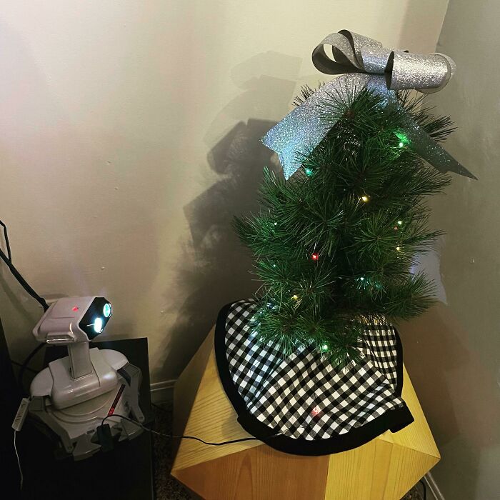 Nothing Puts A Shine On A Kid’s Eyes Like Turning On Xmas Lights