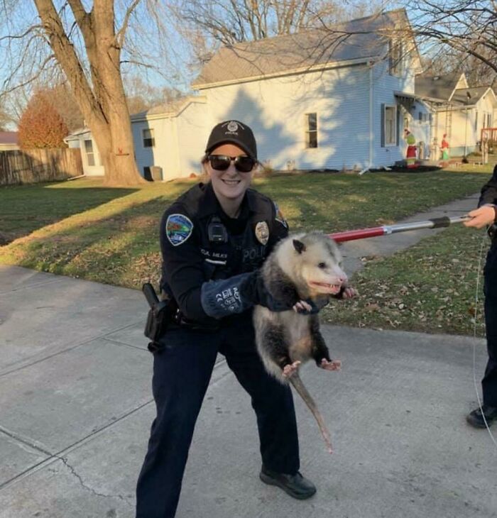 This Is Courtney Ann, She Helped Our Beautiful Wild Friend When He Got Stuck Under A Car 
