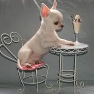 rubytuesday_1 avatar