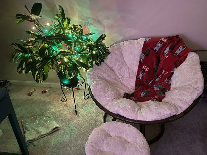 My Lil Sitting Corner, Nighttime Edition