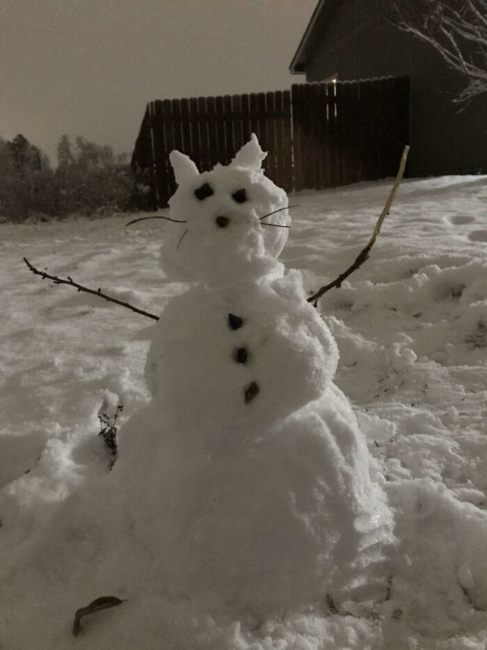 Cat Snowman
