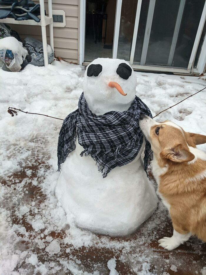 Panini's First Snowman