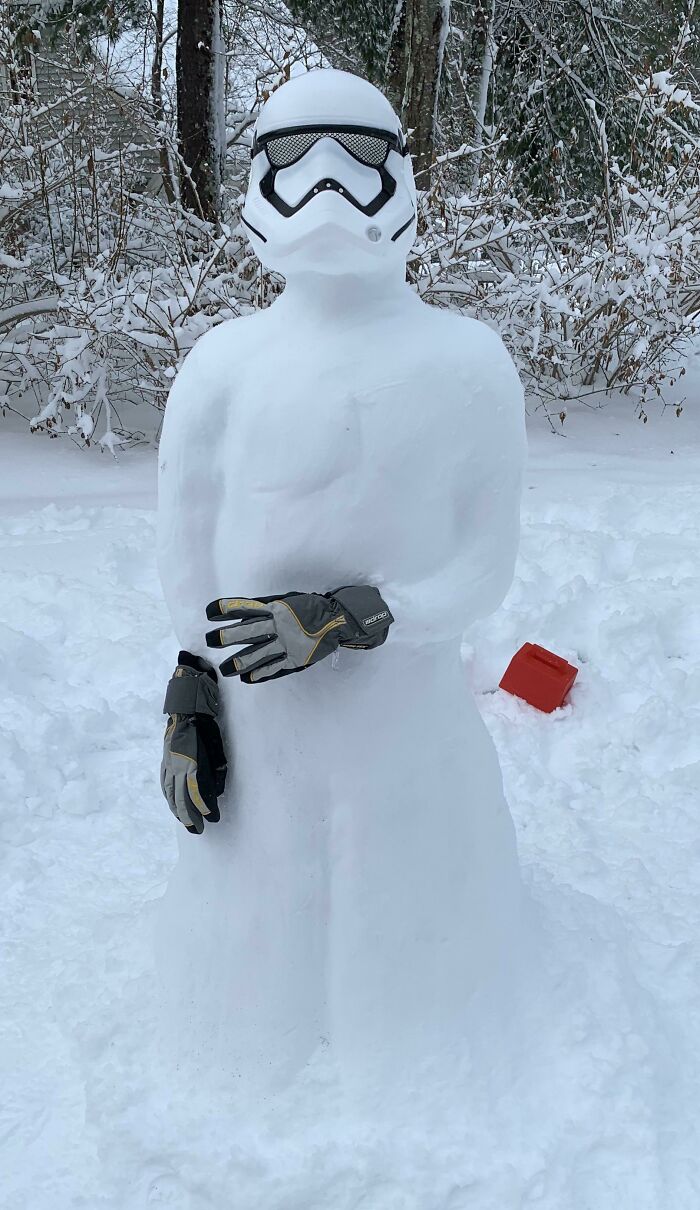 My Snowstorm Trooper