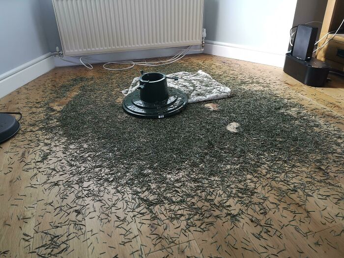 The Guy At IKEA Who I Bought The Christmas Tree From Told Me It Didn't Shed