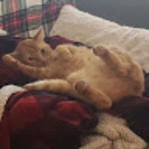 kristenashman avatar