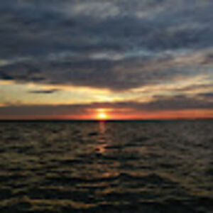 kaitlinschwarz avatar