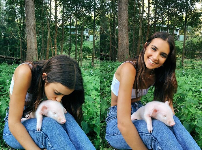 Piglet Takes A Lap Nap