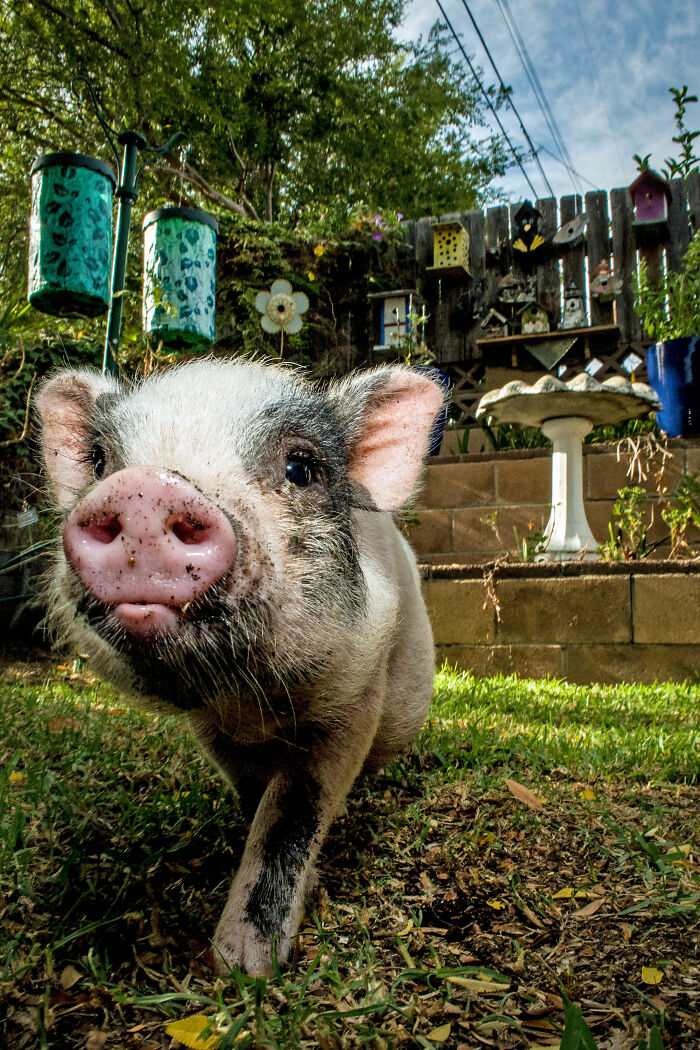 Kevin, My Neighbor, He'd Stop By For Snacks And A Visit
