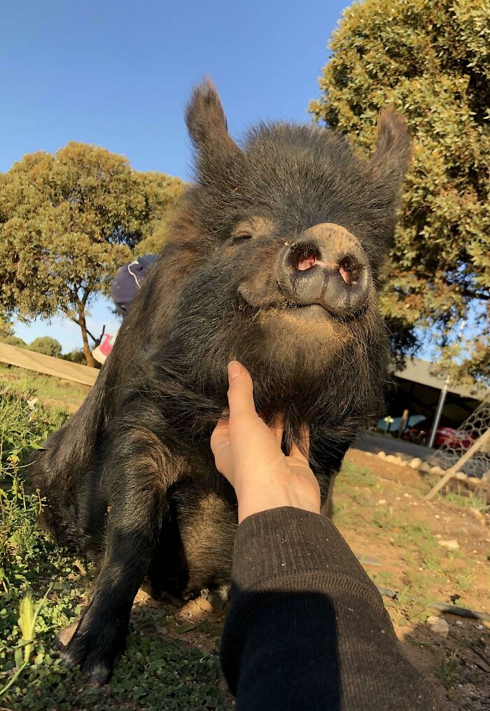 Love My Sweet Smiley Boy More Than Words Can Say
