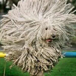 megan_jarrett avatar