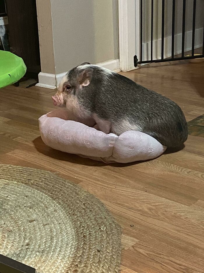 Mom, Stop Looking At Me. I Still Fit, I Swear