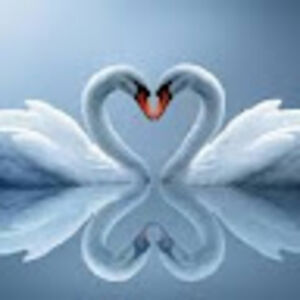 angelinamoreno avatar