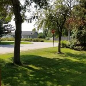 ky-leena_sanchez avatar