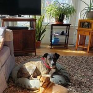 schoolteacher001 avatar