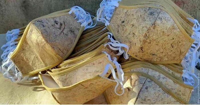 These Face Masks Are Made From Biodegradable Abaca Leaf Fibers And Could Replace Plastic Ones