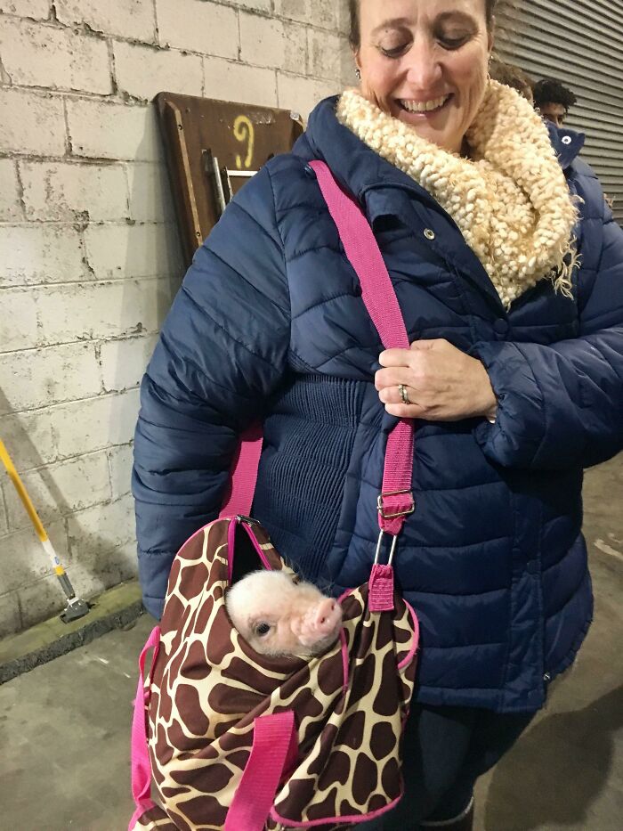 Met This Little Angel At The Punk Rock Flea Market Today