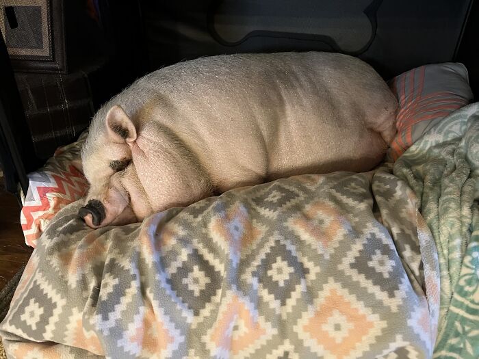 Anyone Else Staying Inside For Black Friday?