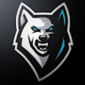 bluewolfgamingyt avatar
