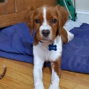 frank_ed_wilson avatar