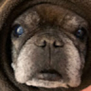 sophiejackson_1 avatar