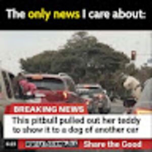 aubreyklaasen avatar