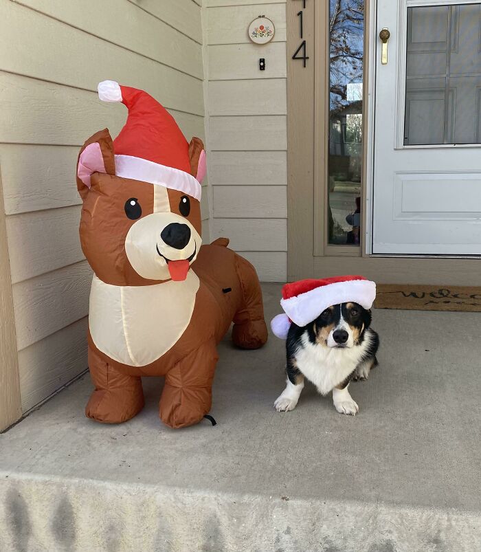 Put Out Some Christmas Décor Today