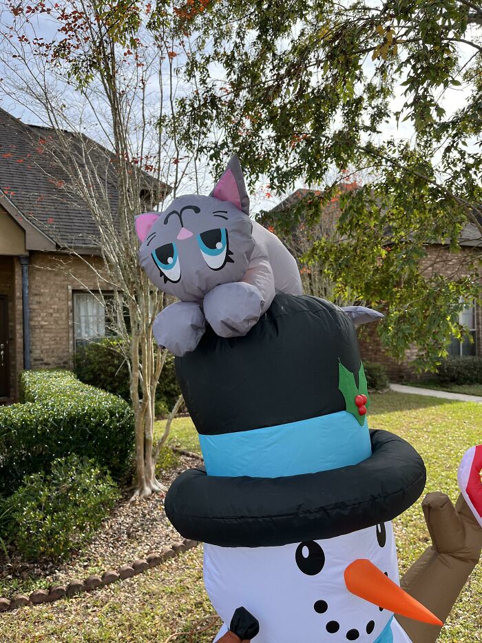 Christmas Decorations