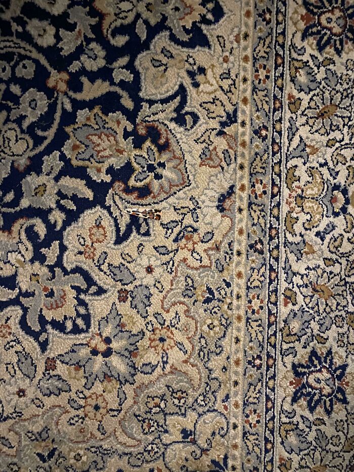 Lost My Daughter's Hair Clip/ Pin Thingy