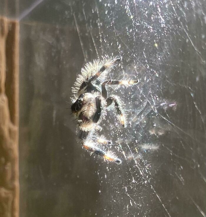 Machine Gun Kelly Is Just So Darned Cute