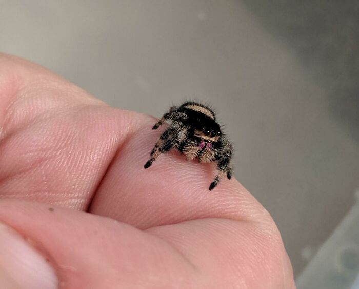 Karma Is So Danged Cute!