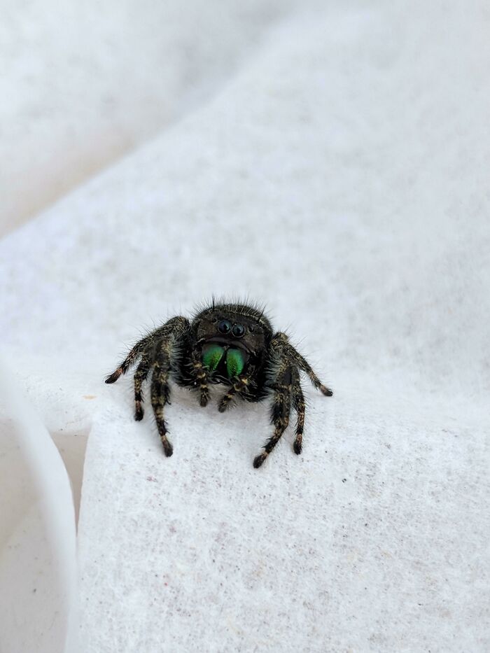 I Rescued This Cutie From A Bathroom