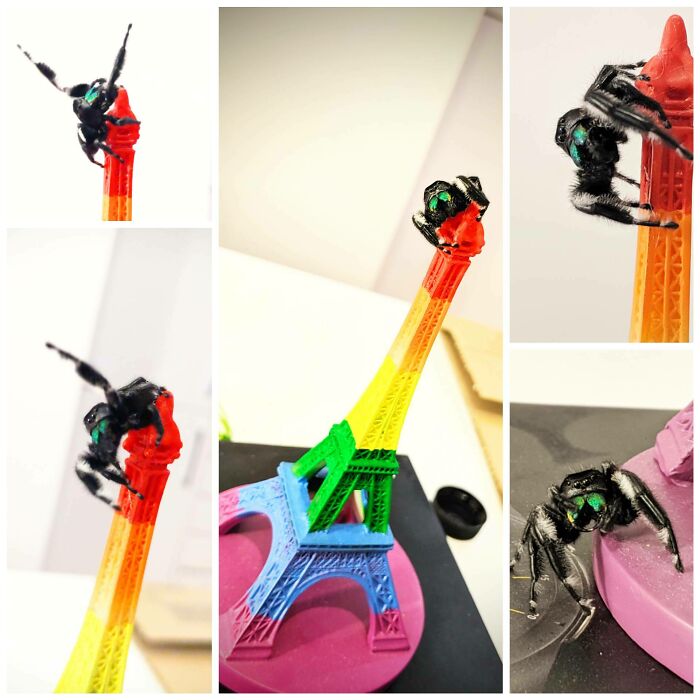 Had A Little Photo Shoot With Reggie! He Says Bonjour