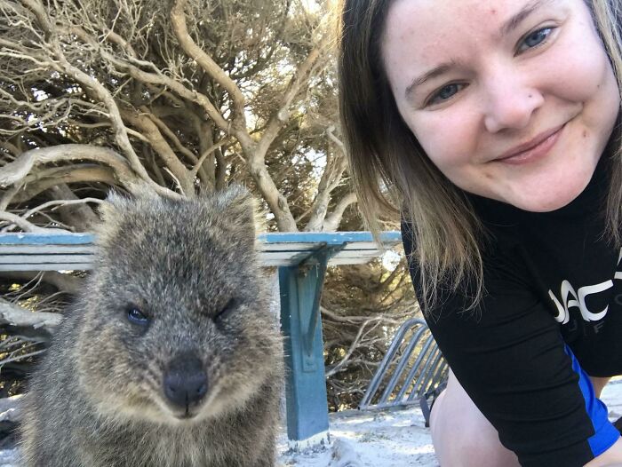 He’s Plotting Something