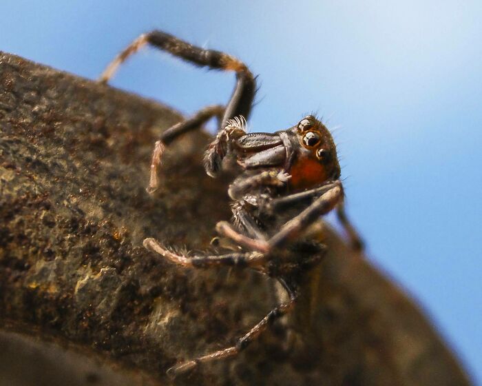 They're Cute All Right