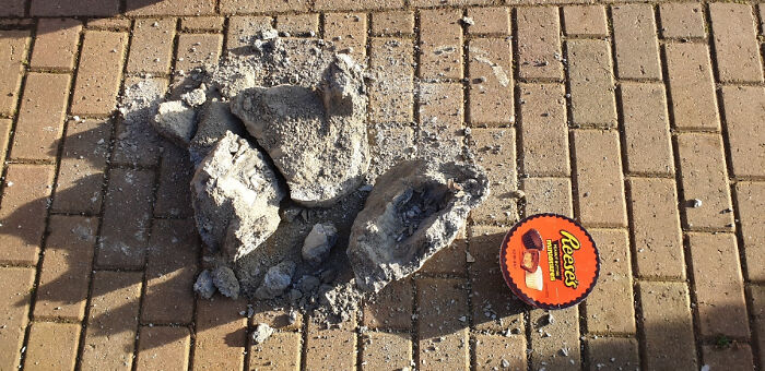 Well, Hope You've All Enjoyed Christmas