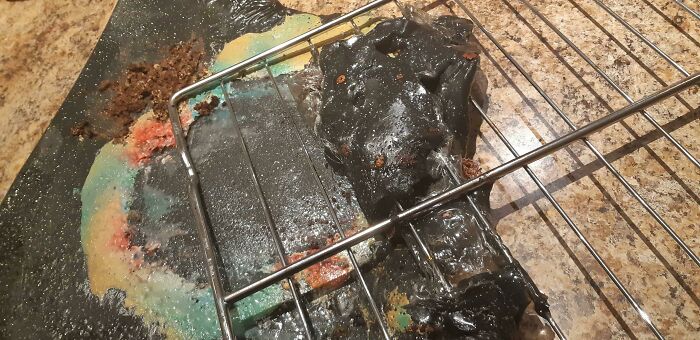 My Husband Baked Me A Cake For My Birthday And Put It In The Oven So Our Dogs Couldn't Get It. I Was Not Aware And Turned On The Oven