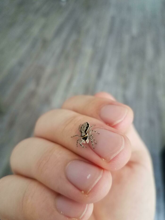 This Lad Wanted To Chill With Me Today