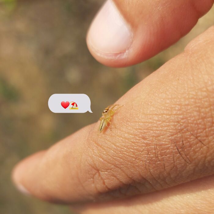 Happy New Year Human