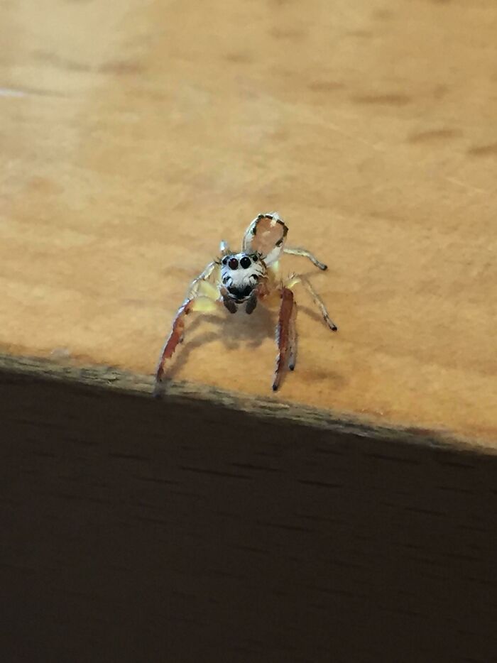 Made A Friend At The Doctors Office Today