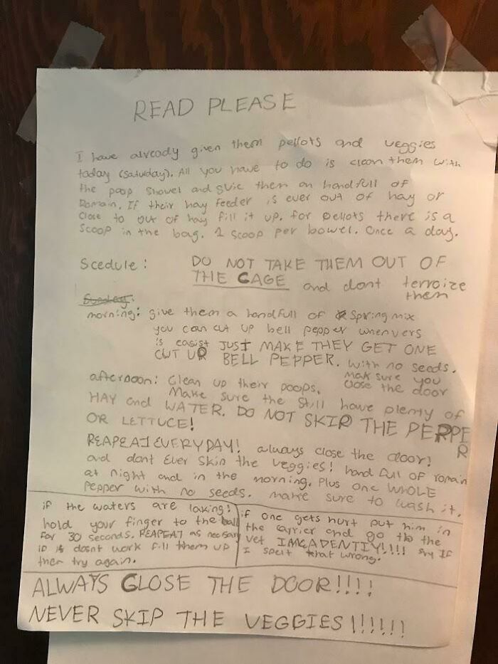 12-Year-Old Daughter Had Some Anxiety With Me Watching Her Guinea Pigs Unsupervised