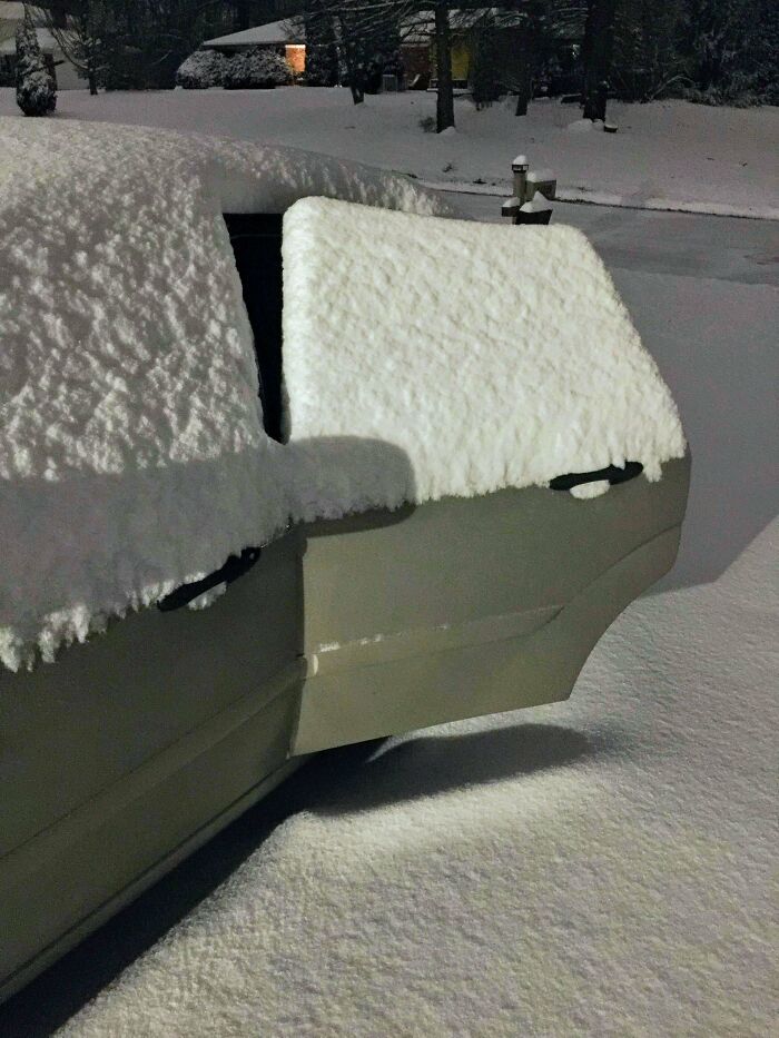 Not Sure Who Is More Dumb, My Kids For Not Shutting The Door, Or Me For Not Making Sure It Got Shut