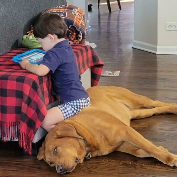 “This Seat Will Do Nicely For My Diaper Bottom!”