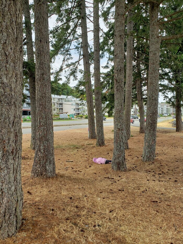 We Were Playing Hide And Seek