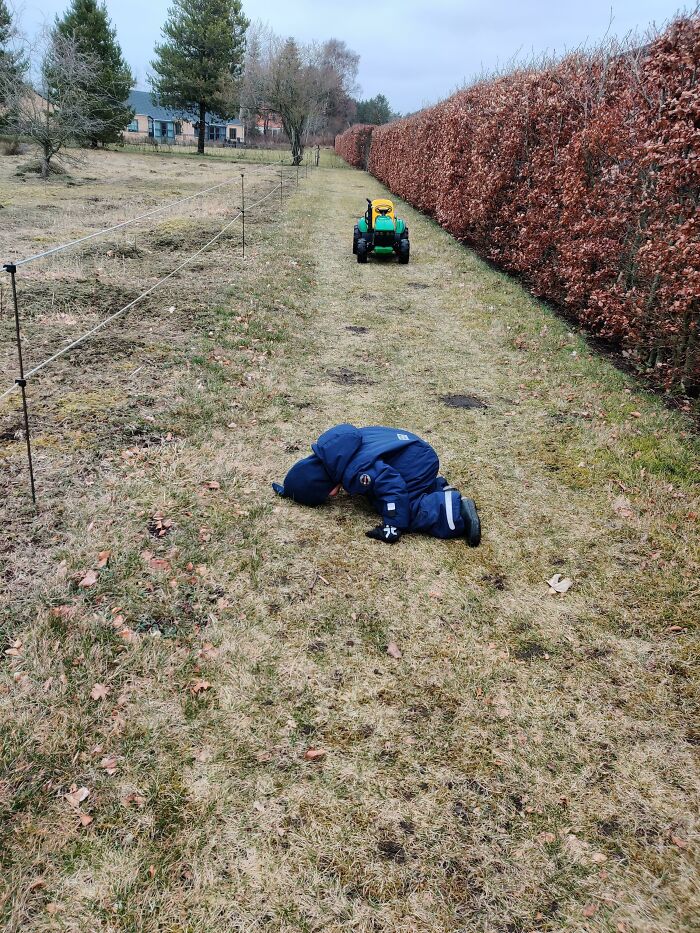 My Kid Had A Small Tantrum After I Refused To Touch The Electrified Fence