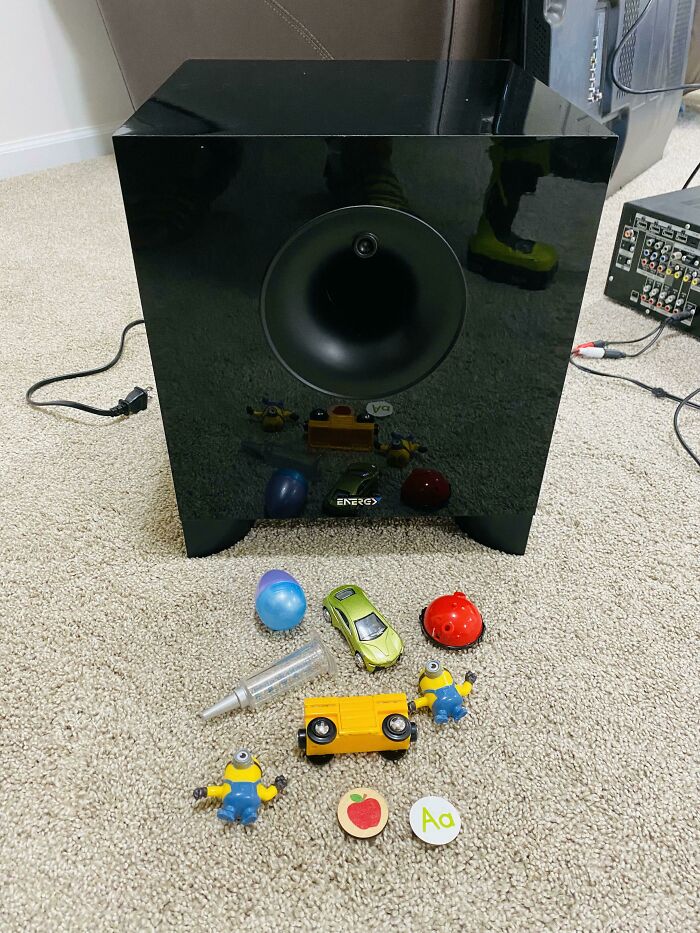 Things I Fished Out Of My Subwoofer Today