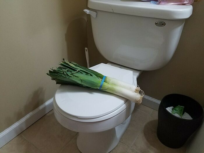 My Daughter Called Me On My Way Back From The Store Stating That Our Toilet Has A Huge Leak. I Came Home To This
