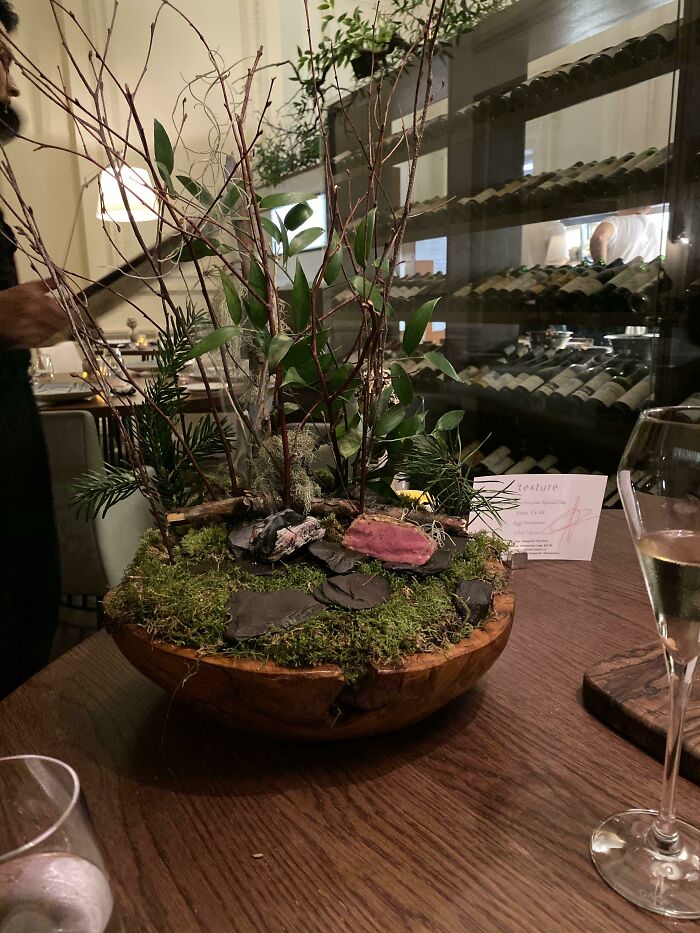 Can You Spot My Lamb Chop?