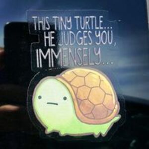 pitbull_monster avatar