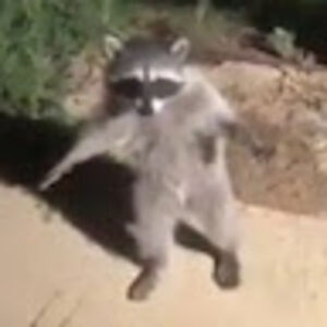 urieleduardoviverosmacip avatar